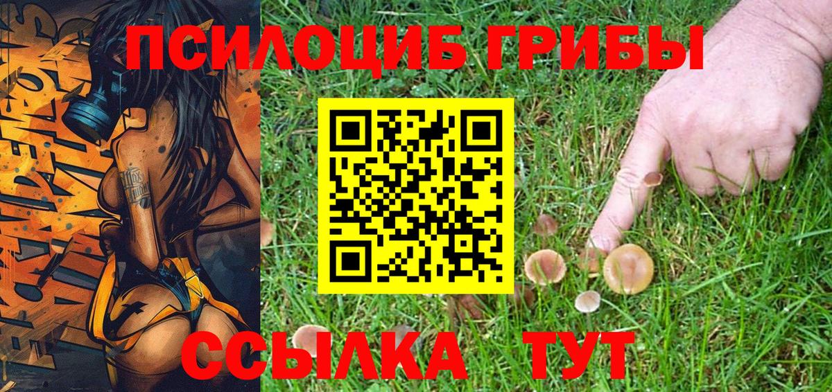 Каспийск  Галлюциногенные грибы Magic Shrooms  Псилоцибиновые грибы Cubensis  Вход с VPN 